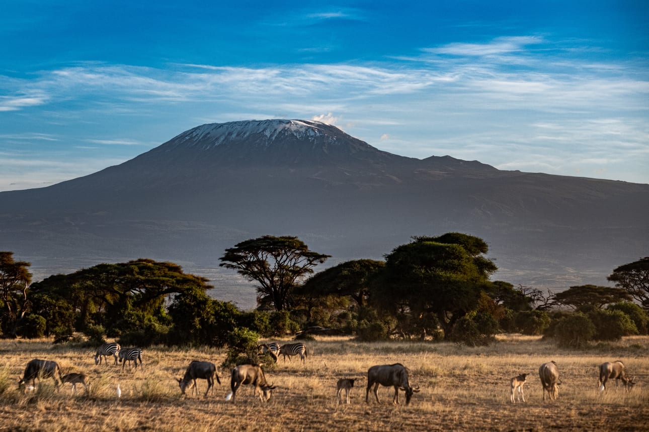 Вид горы Кения