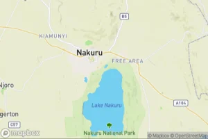 Map showing location of “Augur Buzzard” in Nakuru, Kenya