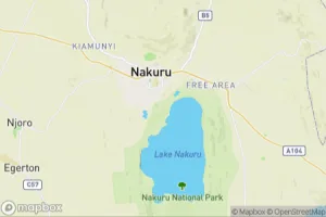 Map showing location of “Black Rhinoceros in Lake Nakuru National Park” in Nakuru, Kenya