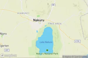 Map showing location of “Newborn African buffalo” in Nakuru, Kenya