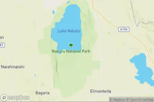 Map showing location of “Peaceful cohabitation” in Nakuru, Kenya
