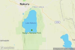 Map showing location of “Pied Kingfisher in Lake Nakuru National Park, Kenya” in Nakuru, Kenya