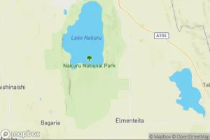 Map showing location of “The little one” in Nakuru, Kenya