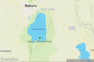 Map showing location of “Young olive baboon at sunset” in Nakuru, Kenya