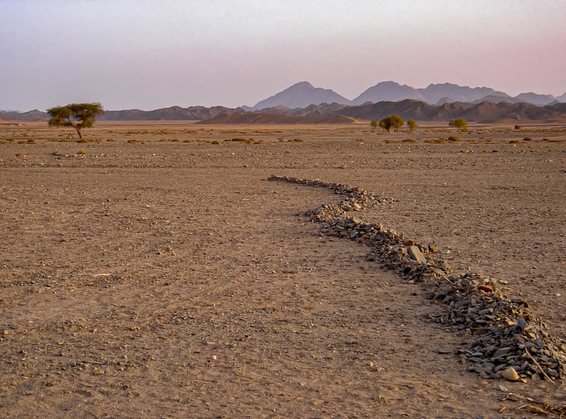Eastern Desert perspective