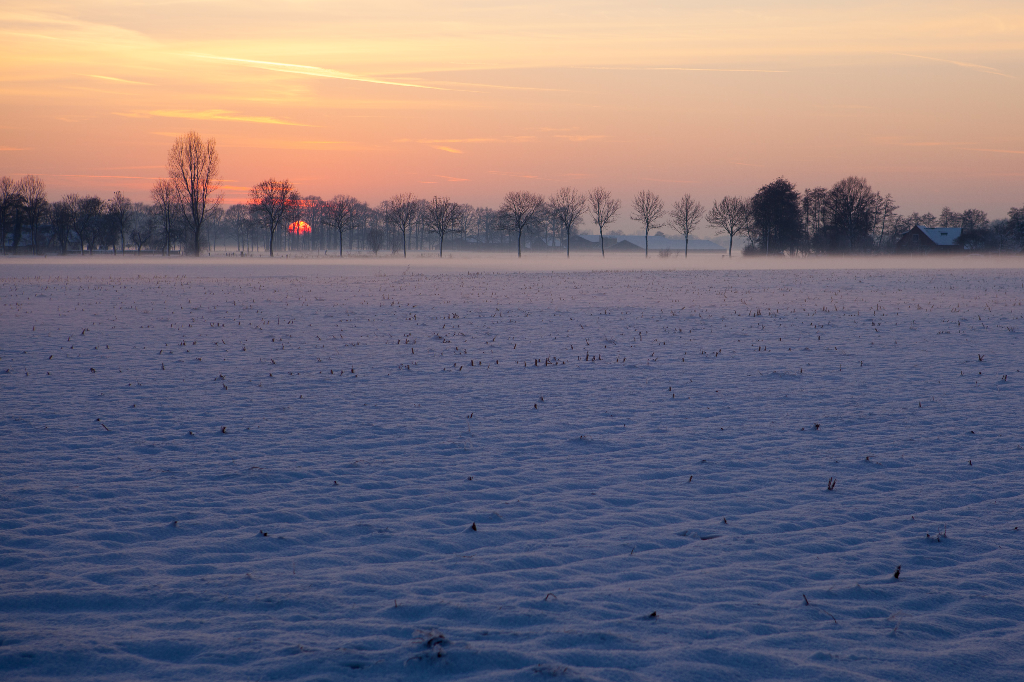 Photo of a country landscape with a snow-covered field and the setting sun in the background
