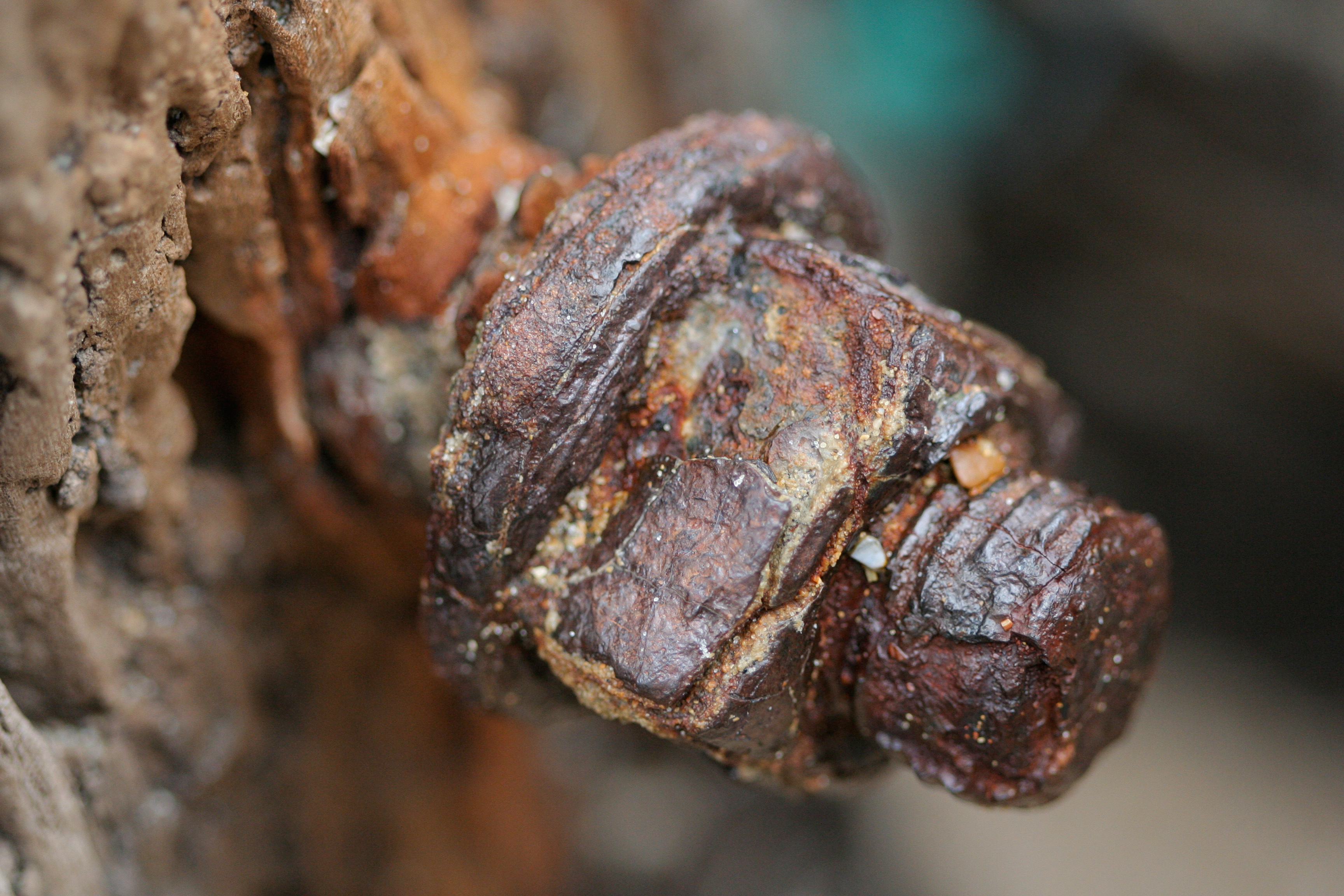 Photo of a completely rusted nut and bolt