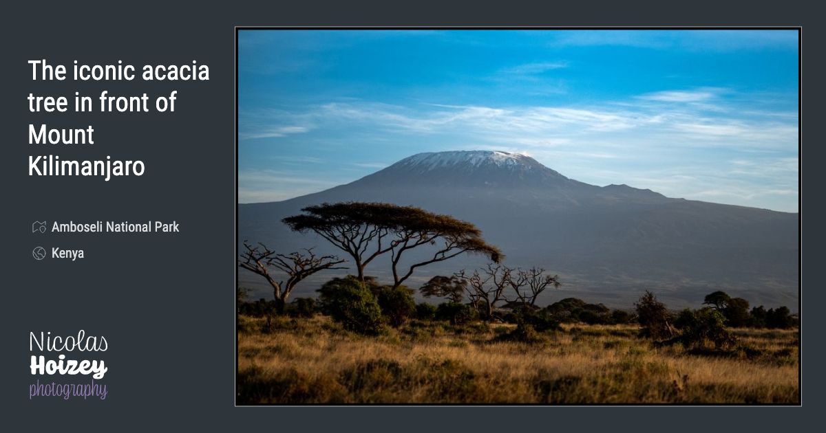 The iconic acacia tree in front of Mount Kilimanjaro — Nicolas Hoizey ...
